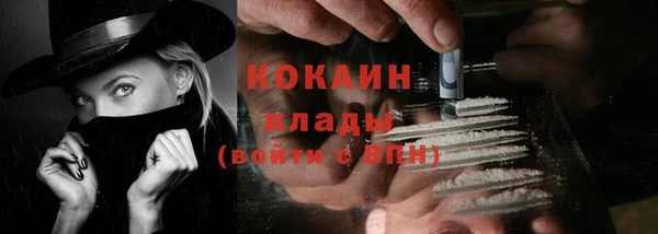стафф Богданович