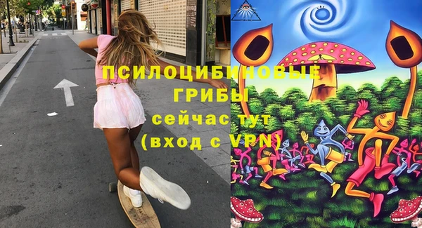 стафф Богданович