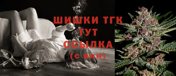 стафф Богданович