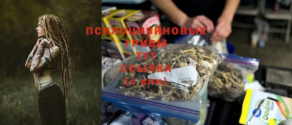 стафф Богородицк