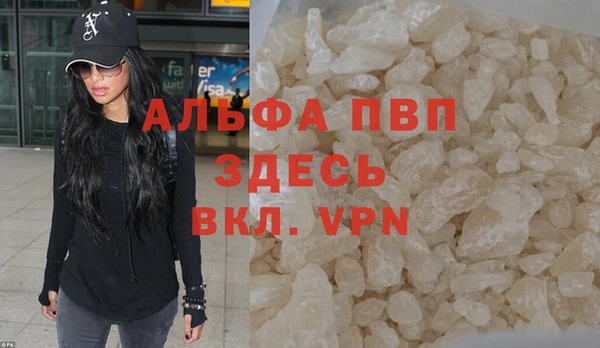 стафф Богданович